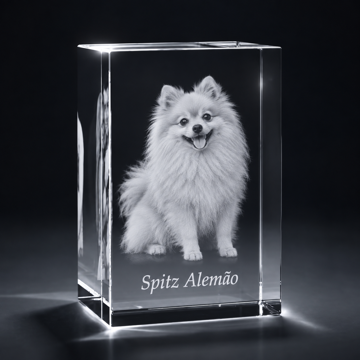 Cristal com foto de pet